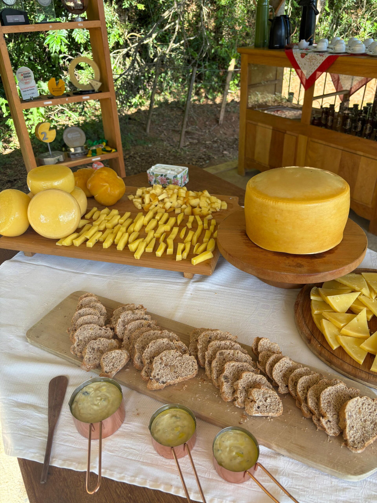 Queijo Montanhês