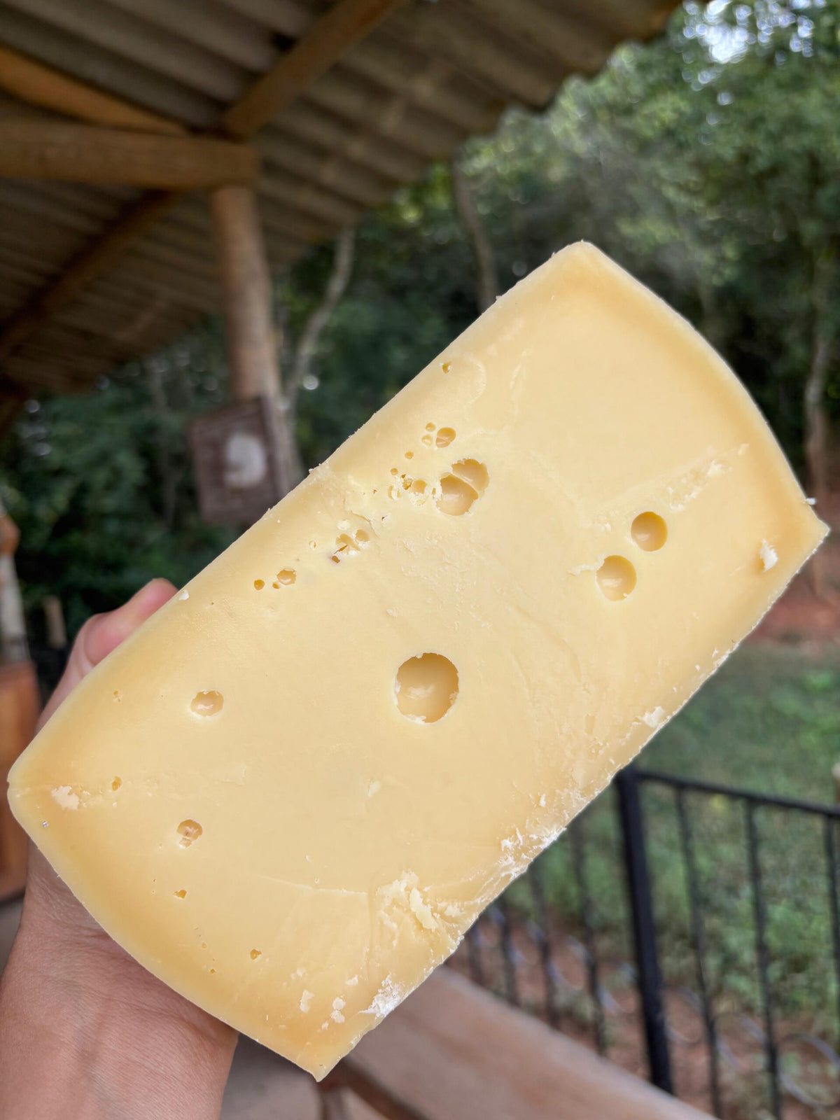 Queijo Montanhês
