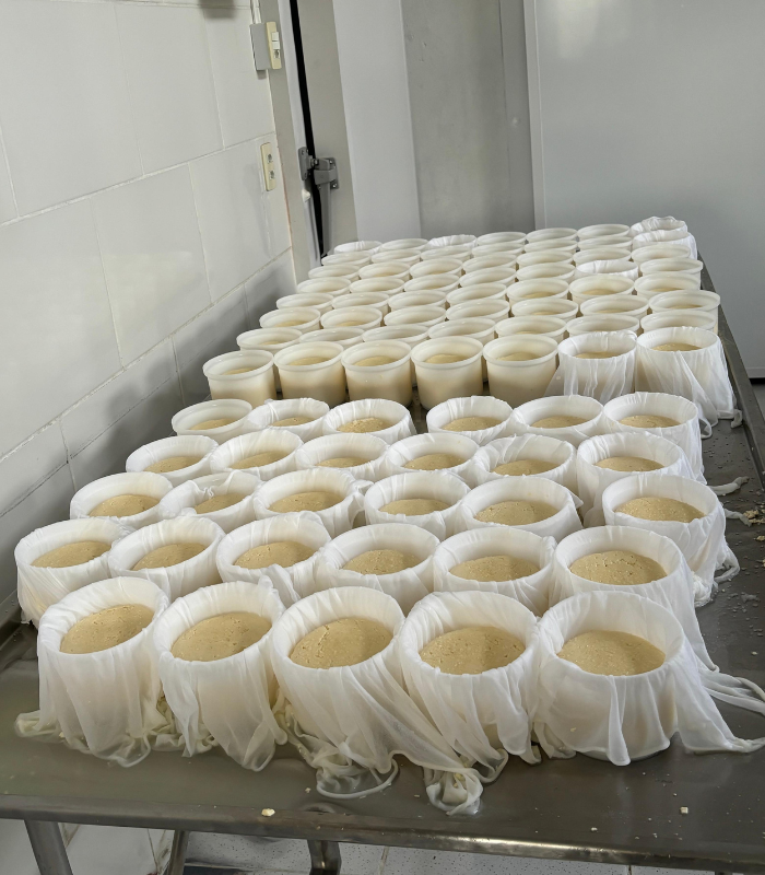 Queijo Minas Artesanal