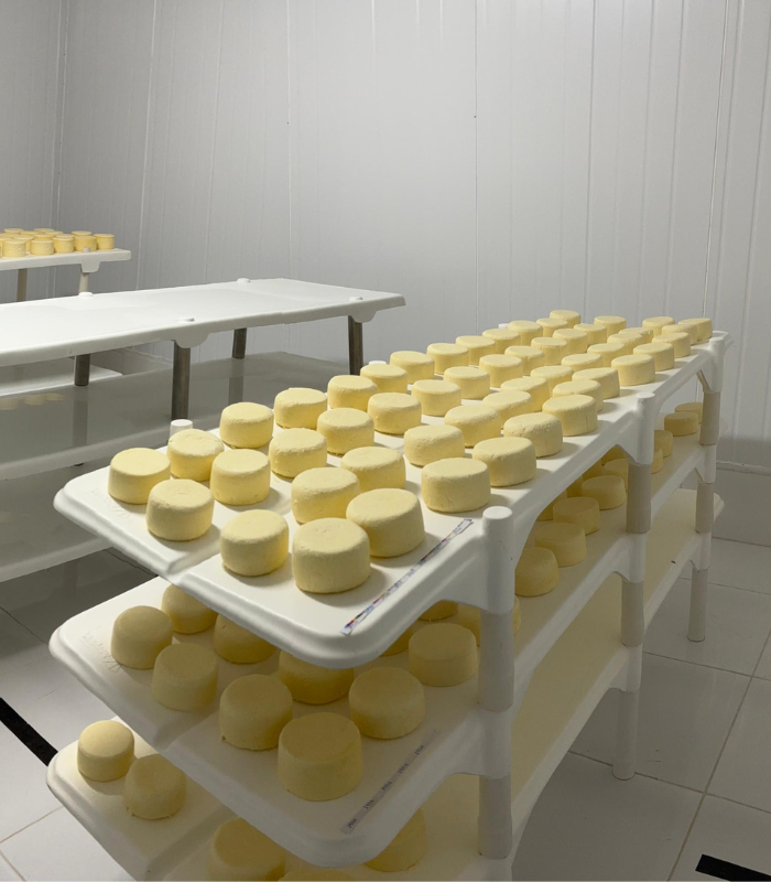 Queijo Minas Artesanal